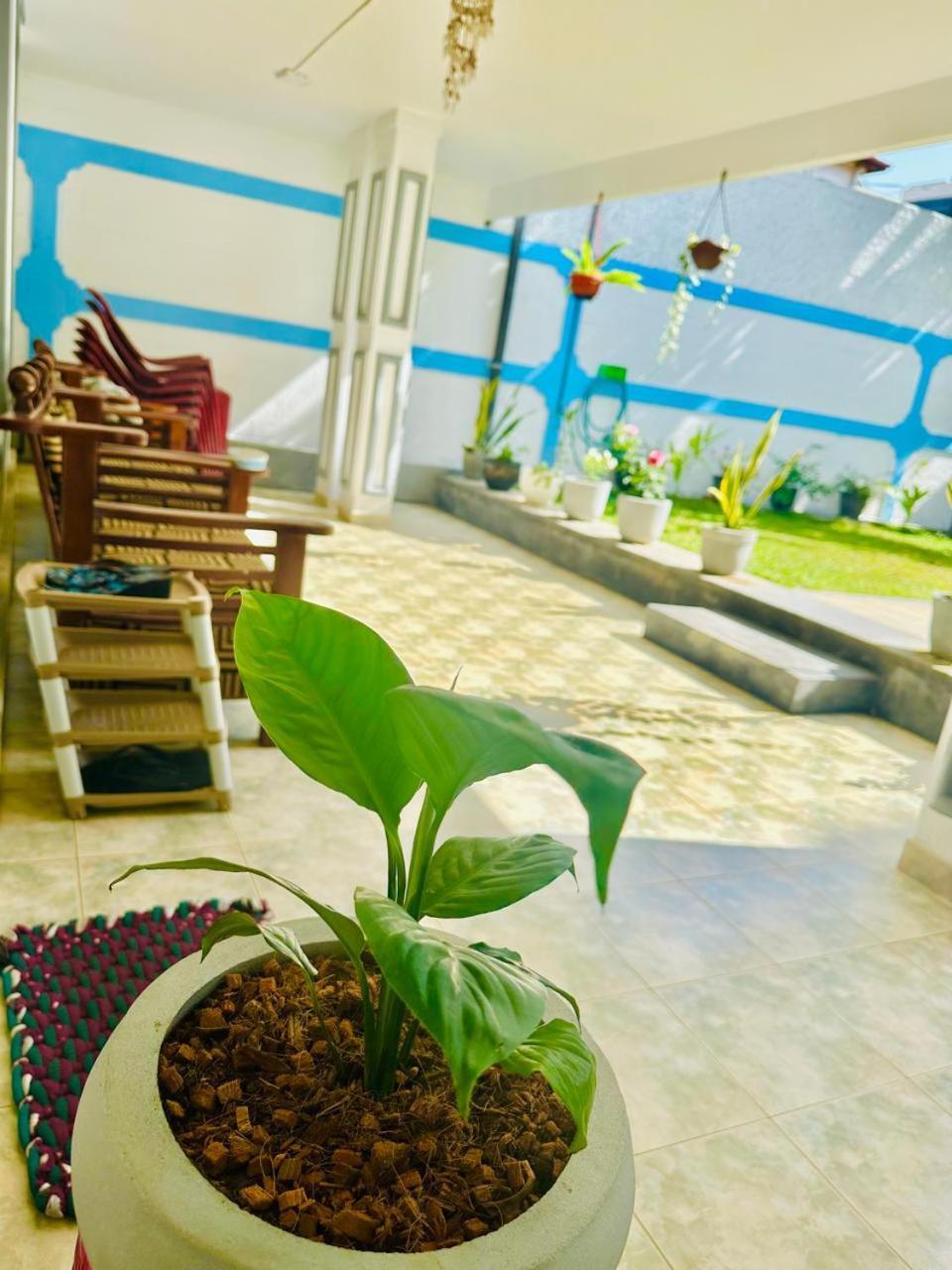 Sea Breeze Guest House נגומבו מראה חיצוני תמונה