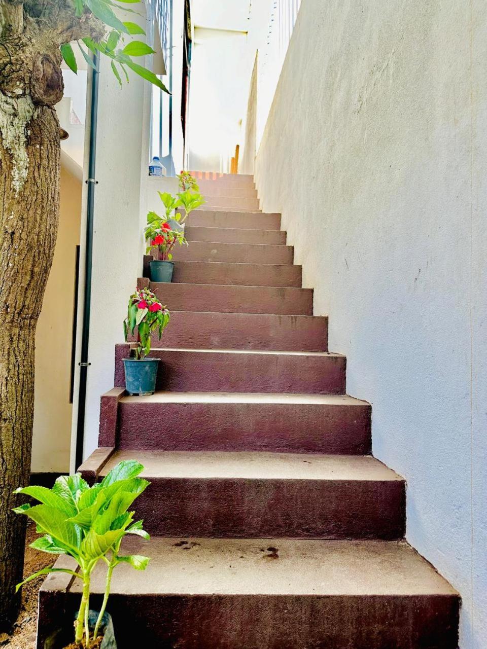 Sea Breeze Guest House נגומבו מראה חיצוני תמונה