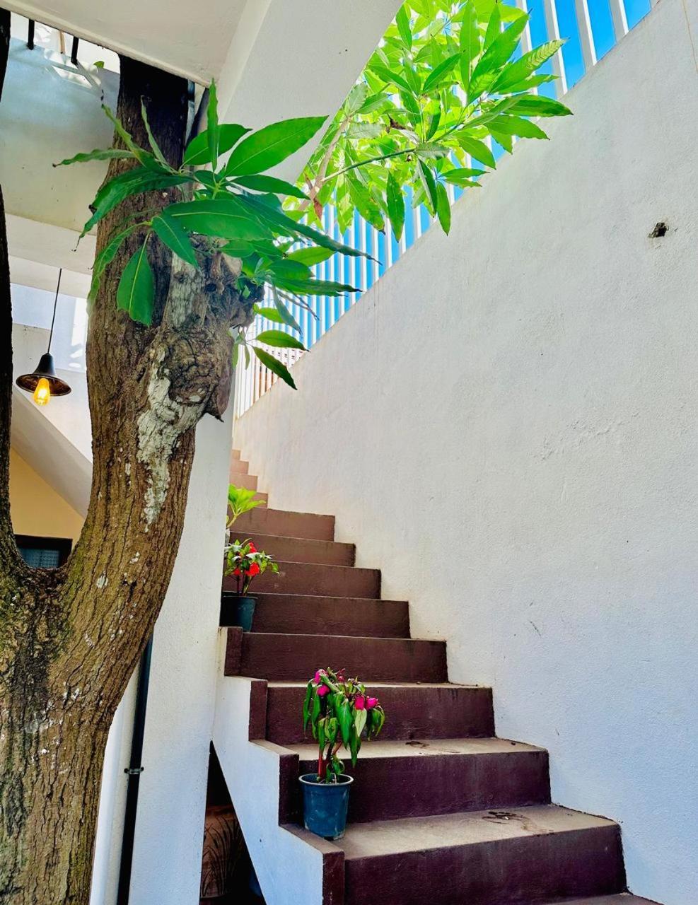 Sea Breeze Guest House נגומבו מראה חיצוני תמונה