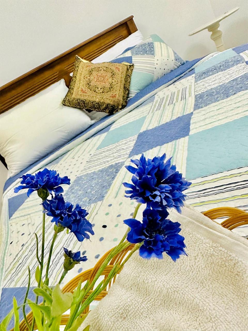 Sea Breeze Guest House נגומבו מראה חיצוני תמונה